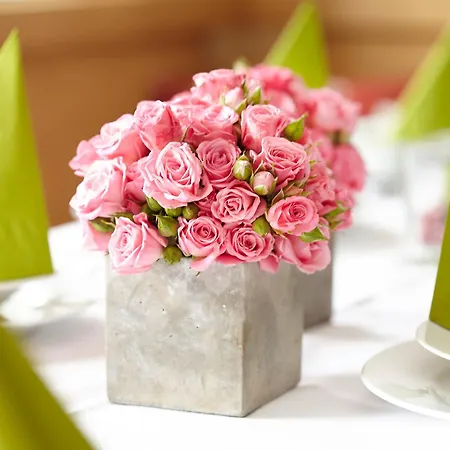 Scheilhof Hirschbach (Freising)